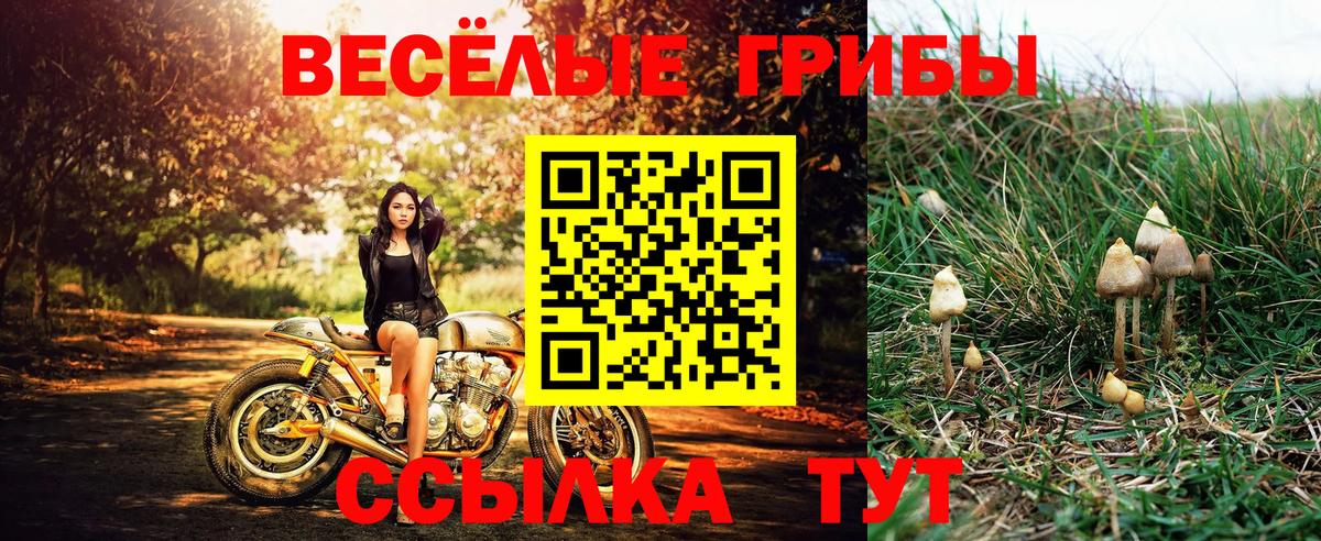Меф МЯУ МЯУ   МАРИХУАНА  Кокаин  Меф МЯУ МЯУ  КЕТАМИН  МДМА  Ачинск  ГАШИШ  Вход с VPN 