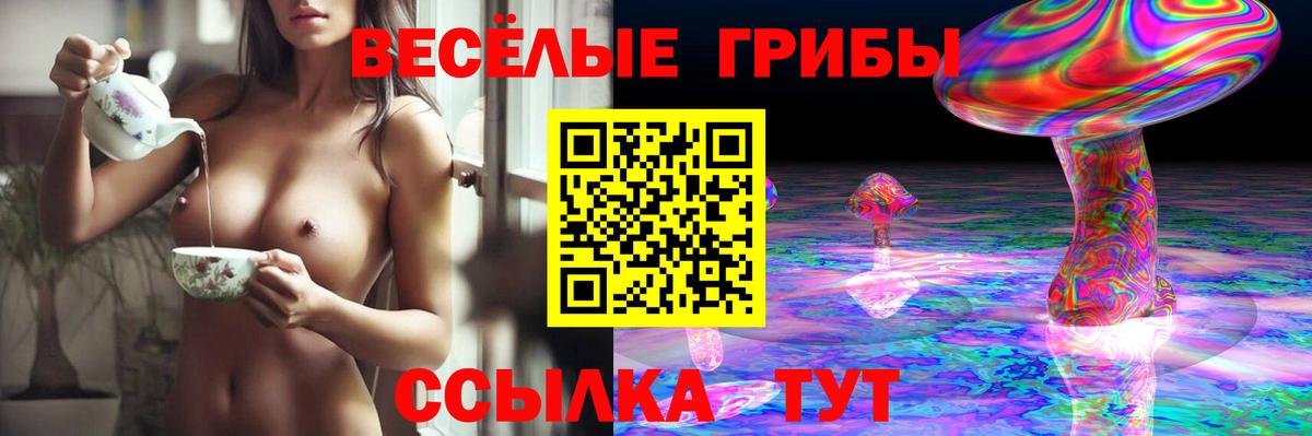 Галлюциногенные грибы ЛСД  Вход с VPN  Галлюциногенные грибы ЛСД  Ачинск 